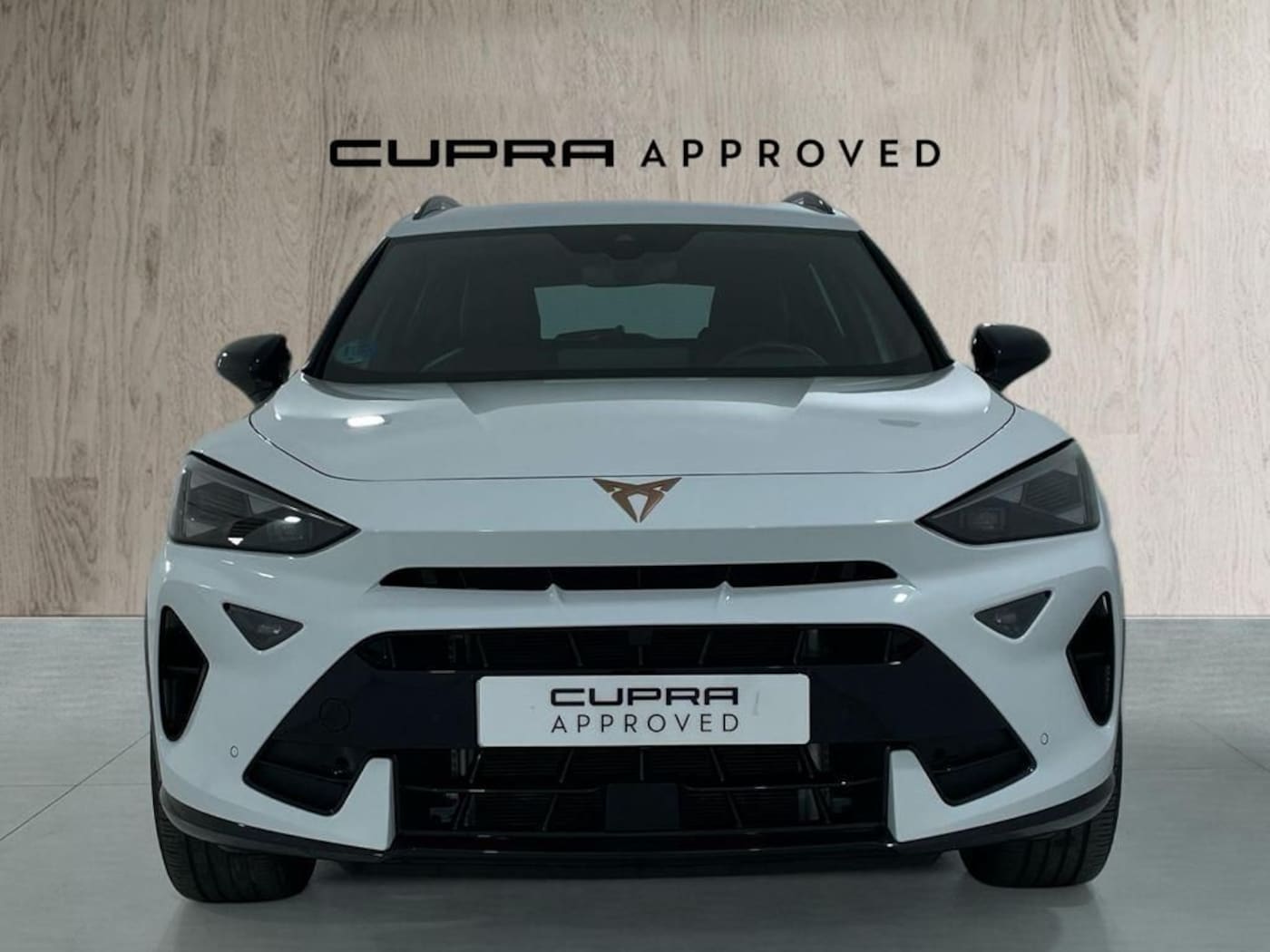 CUPRA Formentor 2.0 TDI DSG 110 kW (150 CV) — photo 12
