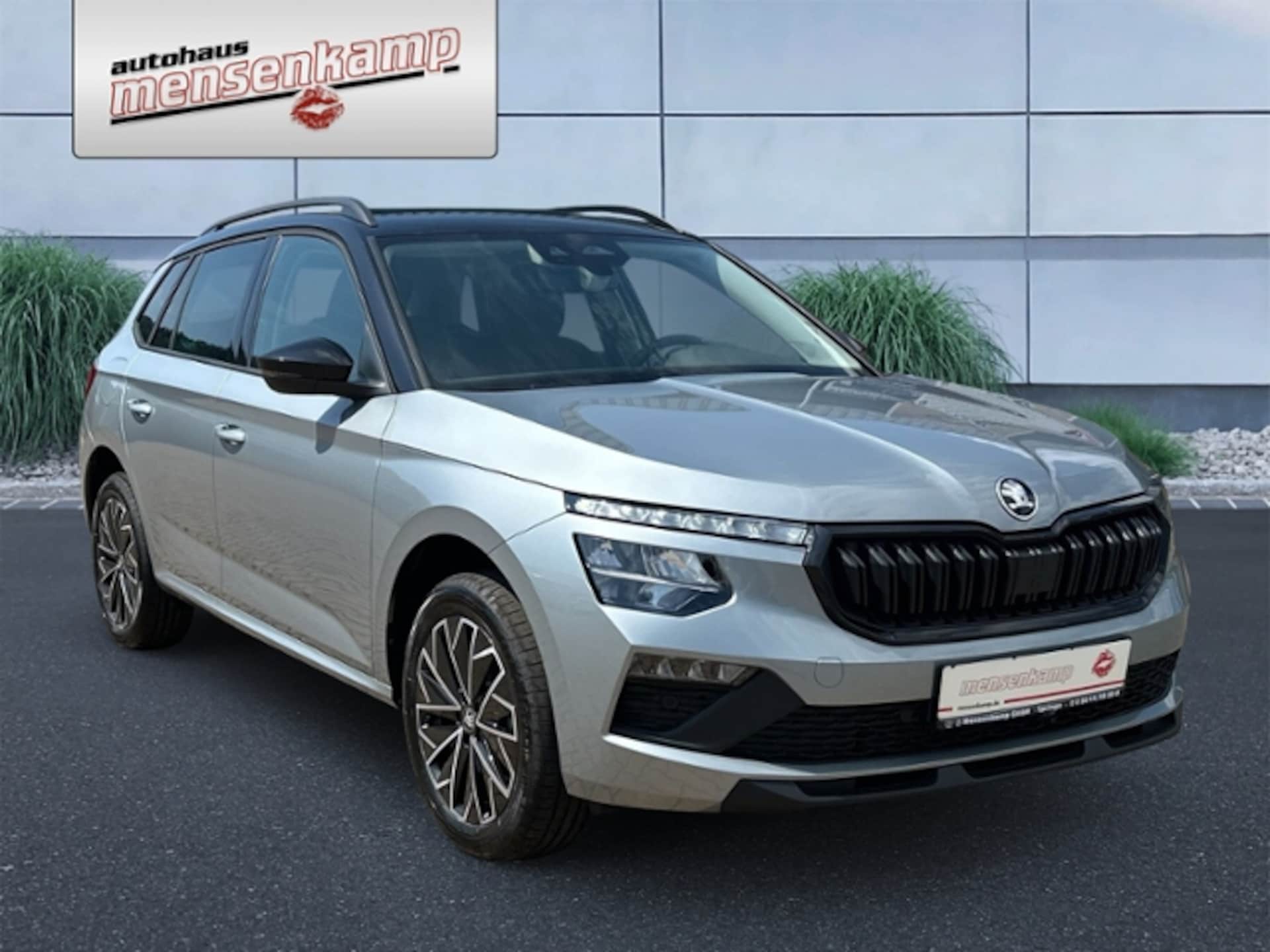 Skoda Kamiq Selection