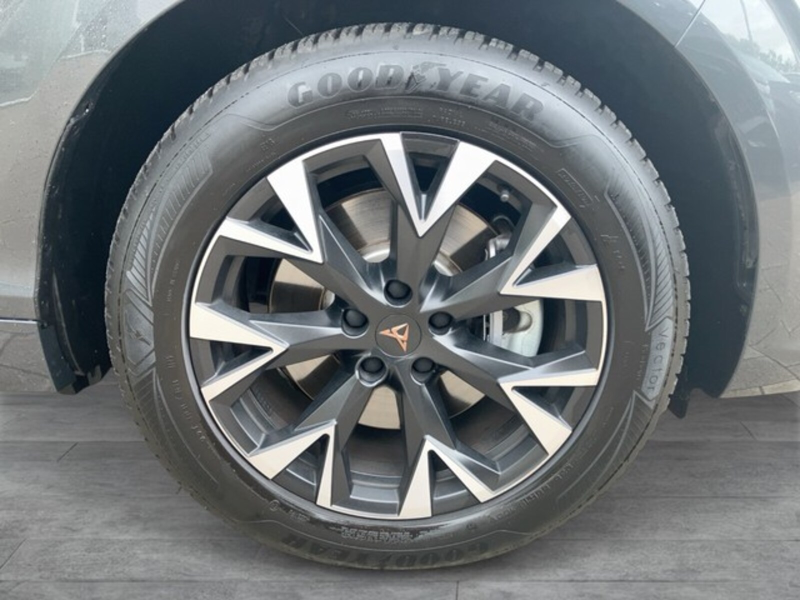 CUPRA Terramar – Bild 6