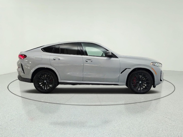 2025 BMW X6