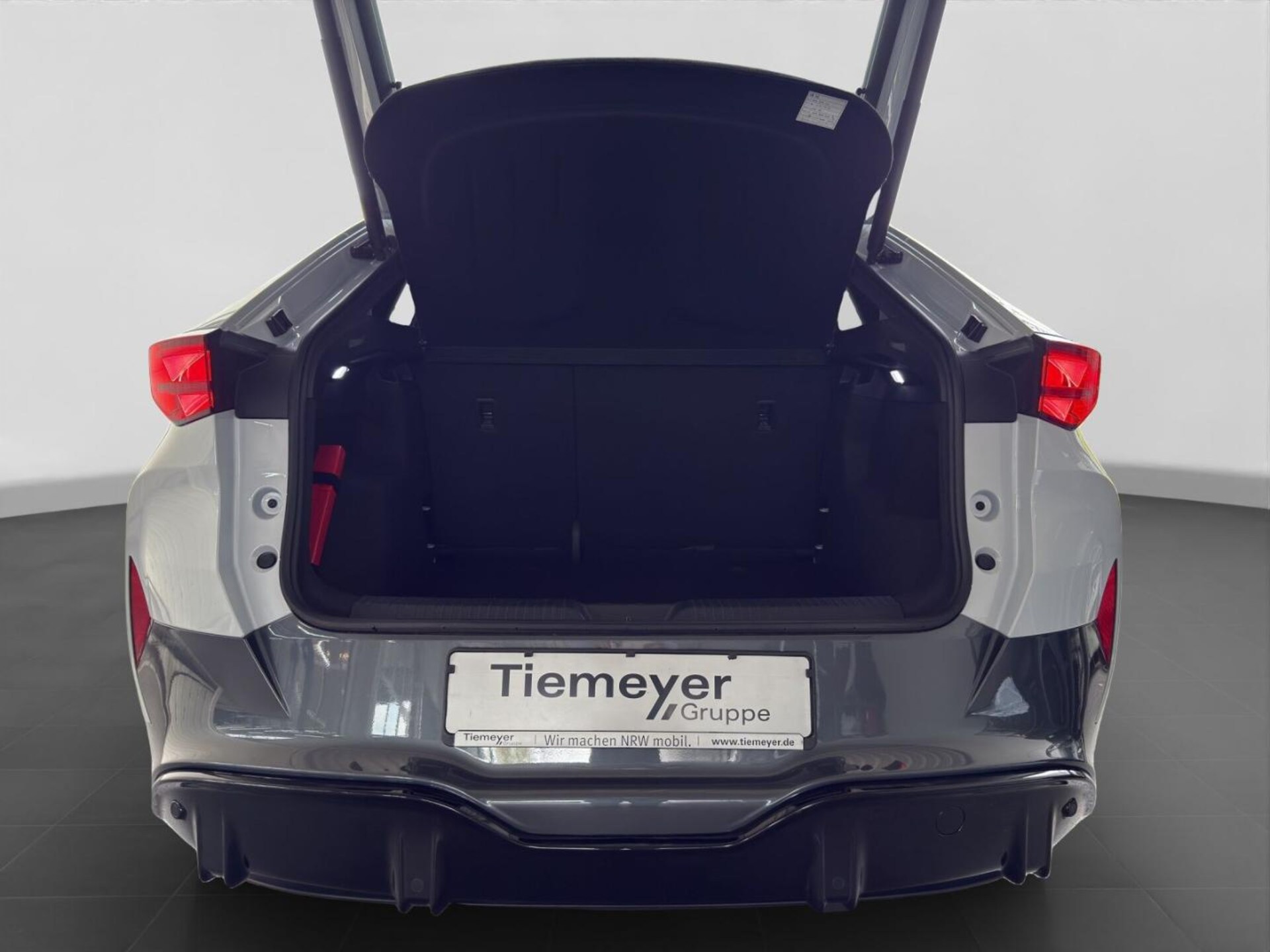 CUPRA Tavascan Endurance