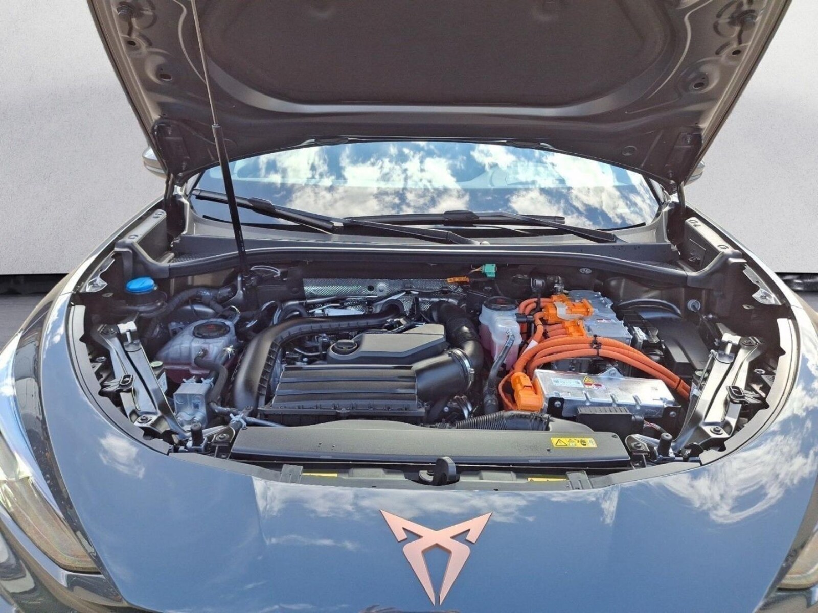 CUPRA Terramar – Bild 16