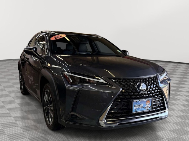 2024 Lexus UX 250h
