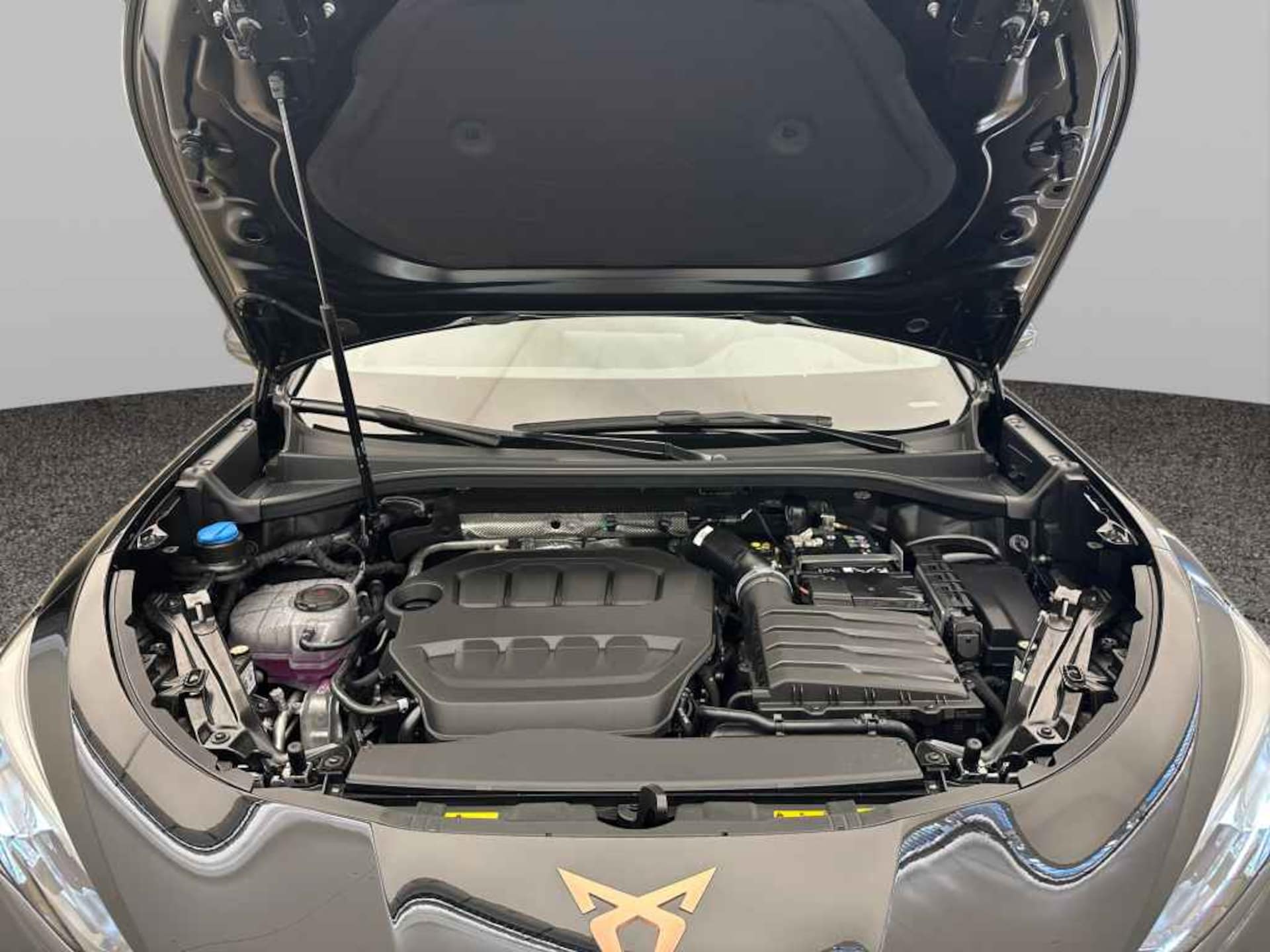CUPRA Terramar VZ