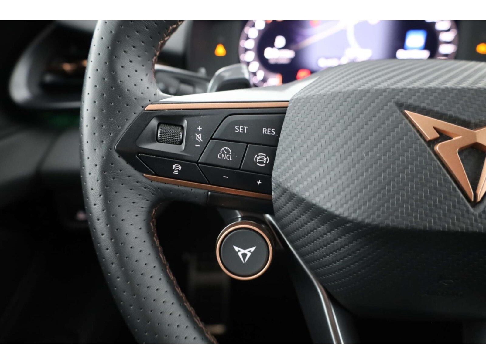 CUPRA Terramar – Bild 14