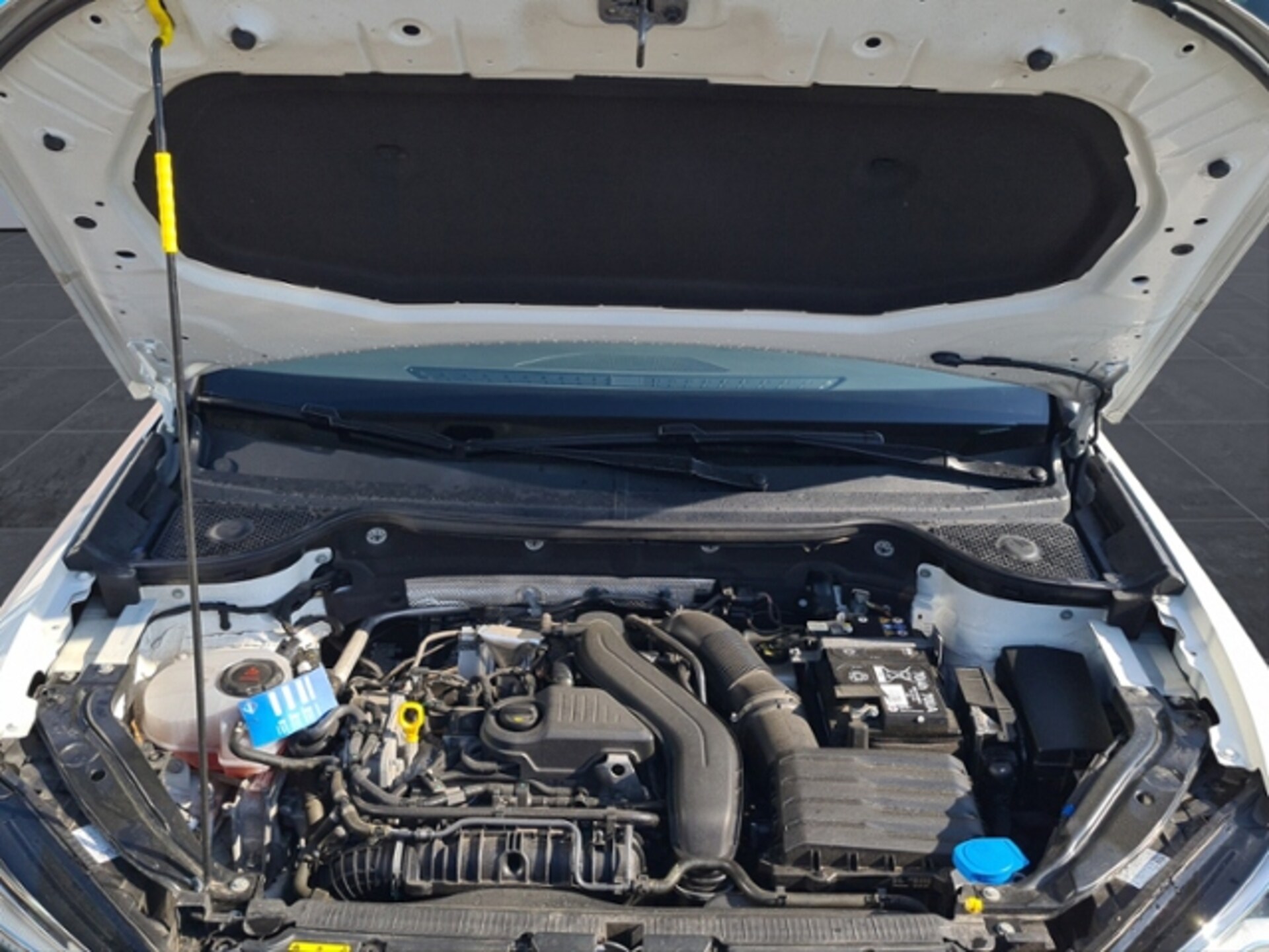 SEAT Ateca Xperience