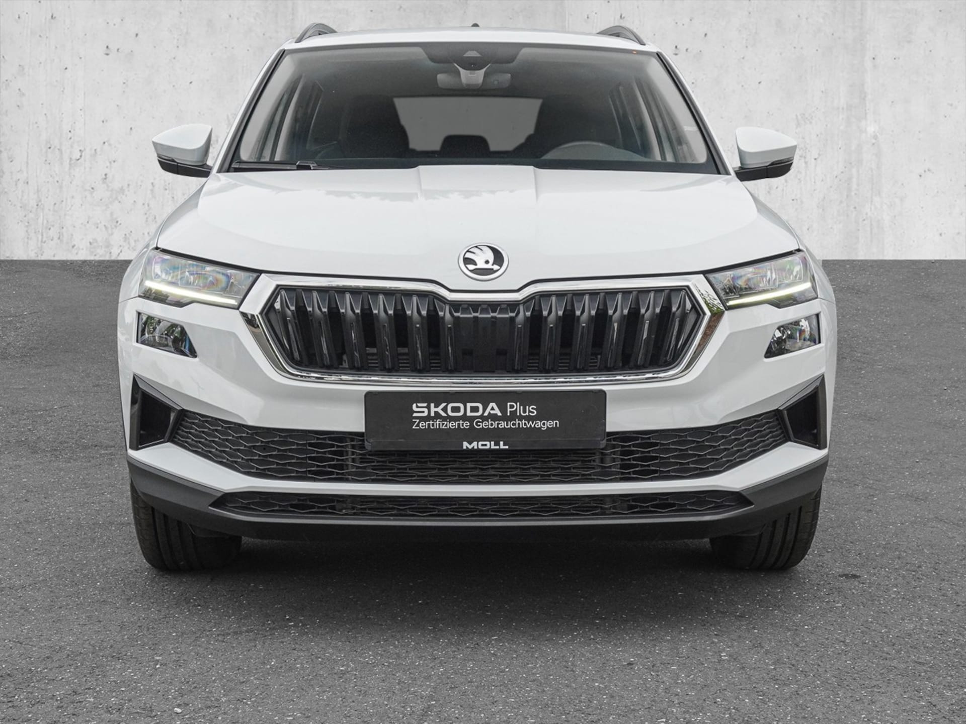 Skoda Karoq Selection