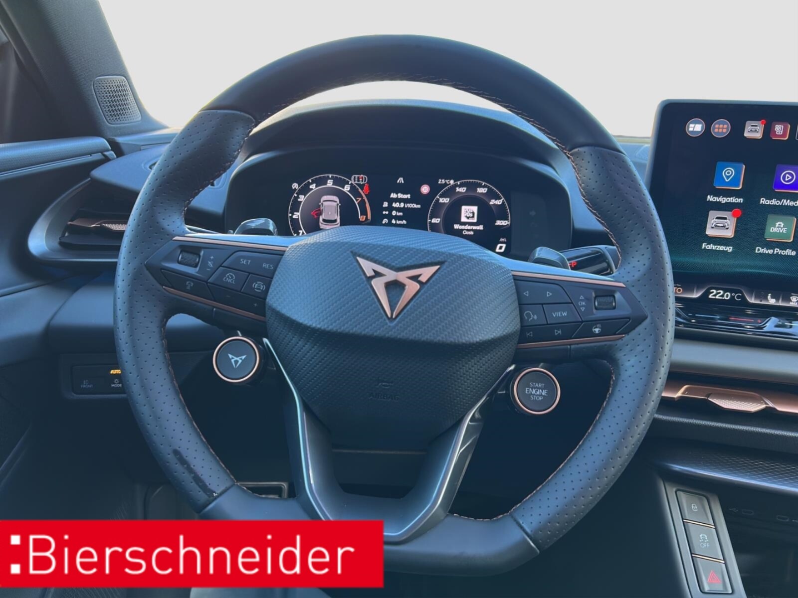 CUPRA Terramar – Bild 14