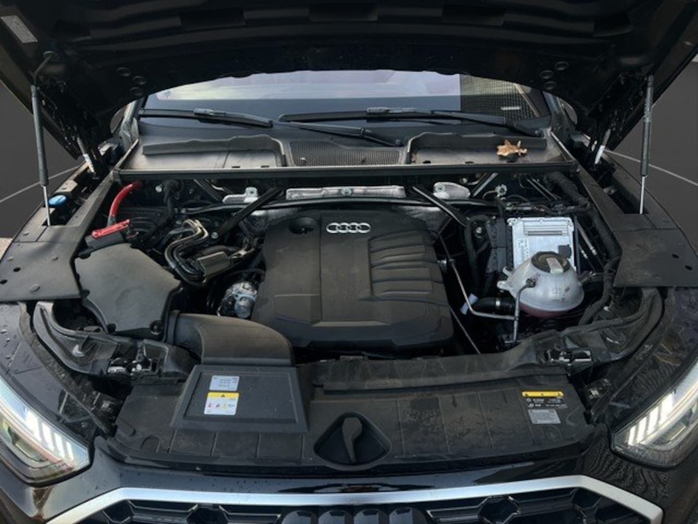 Bild über Audi Q5 40 TDI quattro 150 kW S tronic - für weitere Informationen kontaktieren Sie den Audi Partner