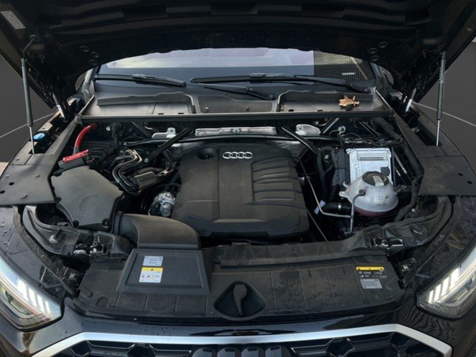 Audi Q5 – Bild 15