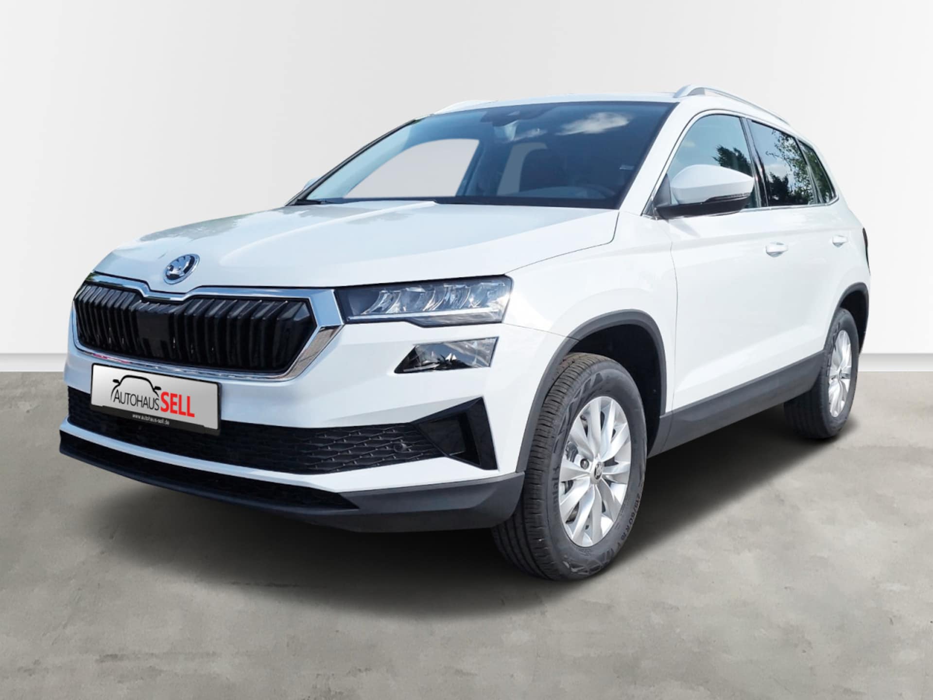 Skoda Karoq Ambition