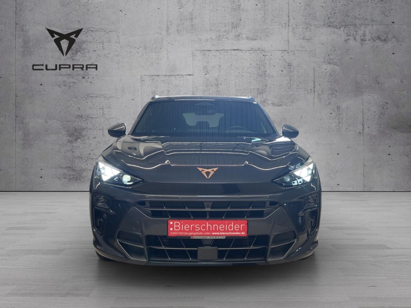 CUPRA Terramar – Bild 2