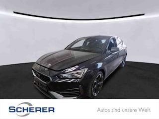 erstes Vorschaubild