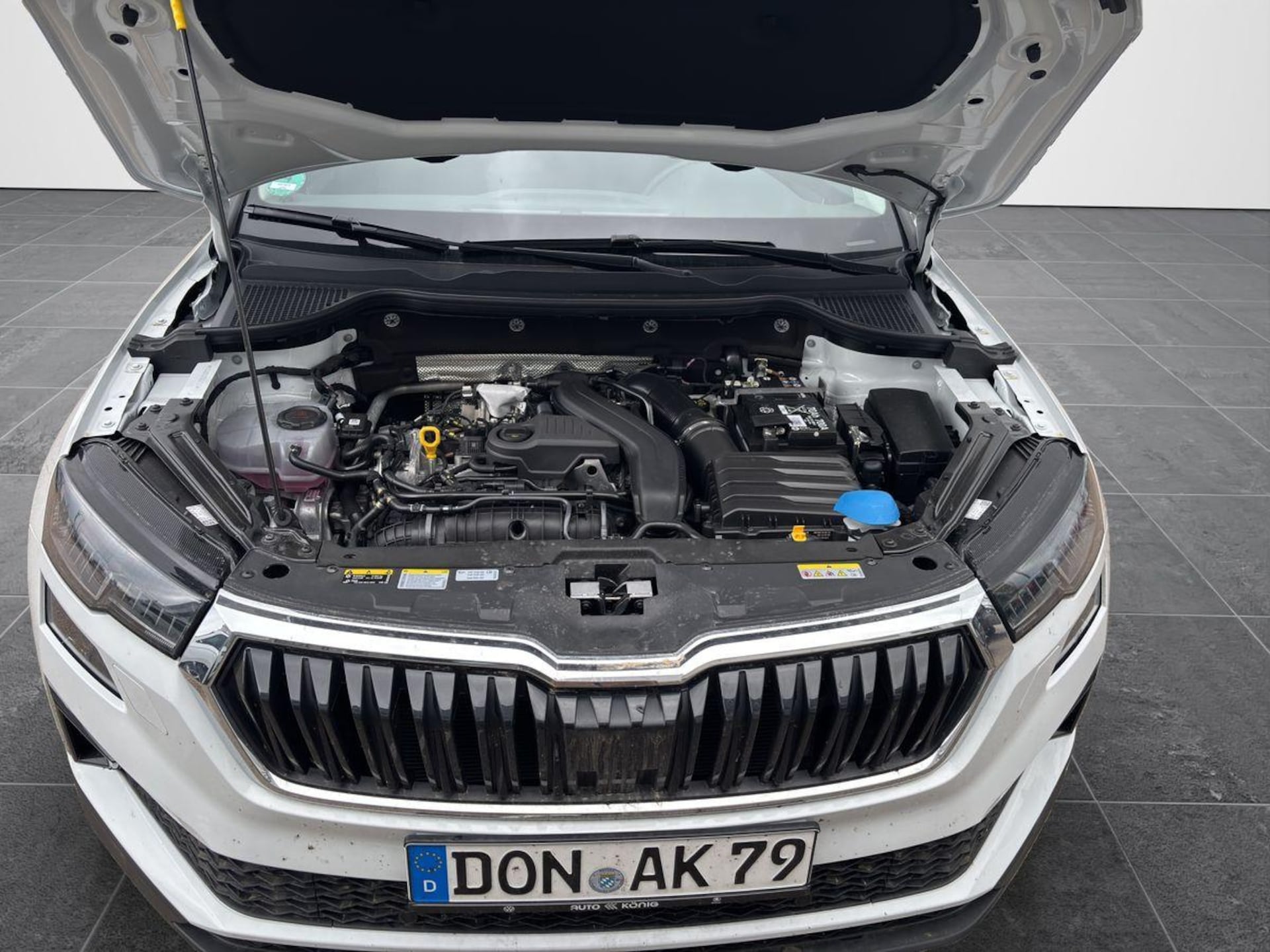 Skoda Karoq Selection