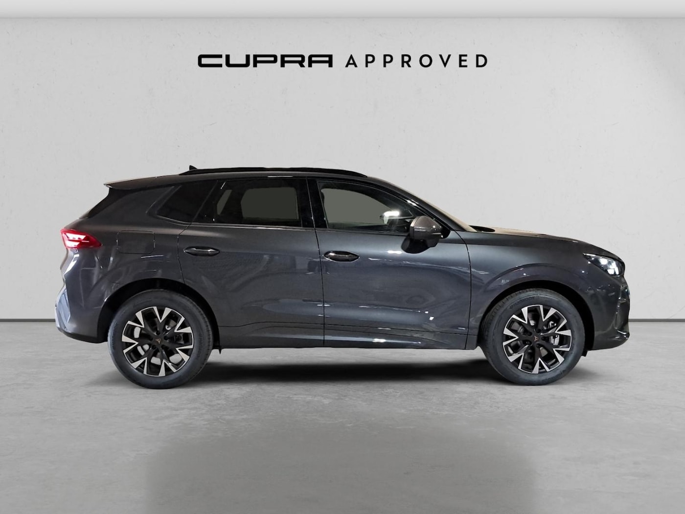 CUPRA Terramar 1.5 eTSI DSG 110 kW (150 CV) — photo 3
