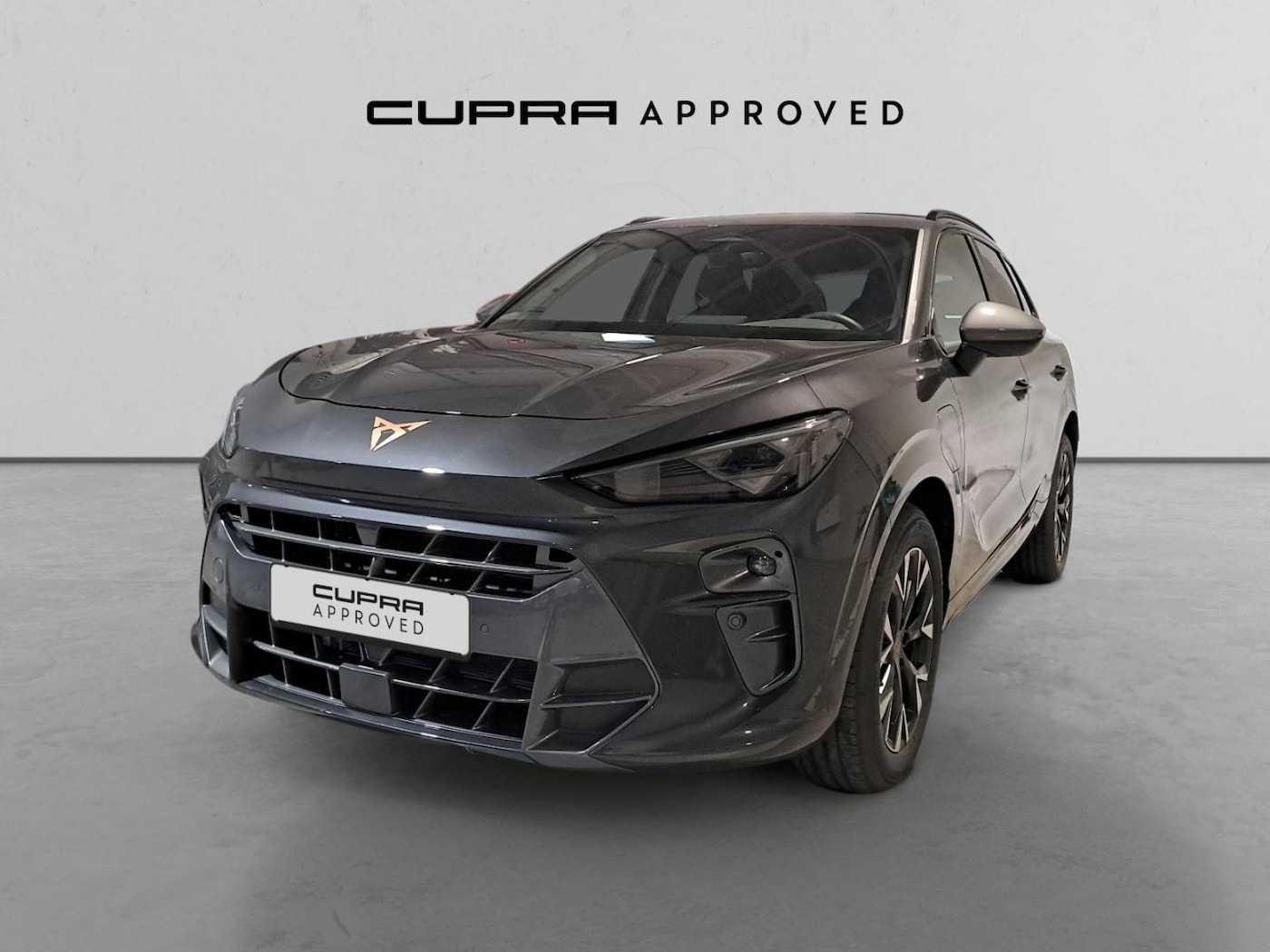 CUPRA Terramar 1.5 eTSI DSG 110 kW (150 CV) — photo 13