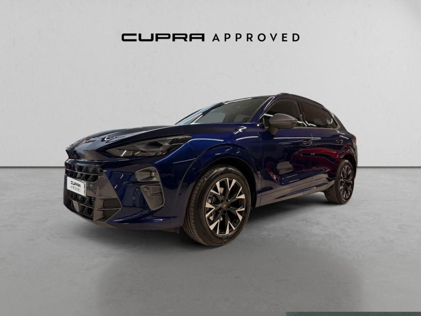 CUPRA Terramar 1.5 eTSI DSG 110 kW (150 CV) — photo 13