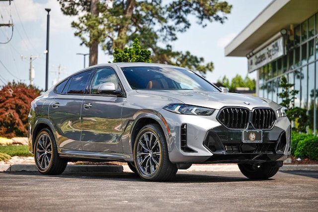 2025 BMW X6