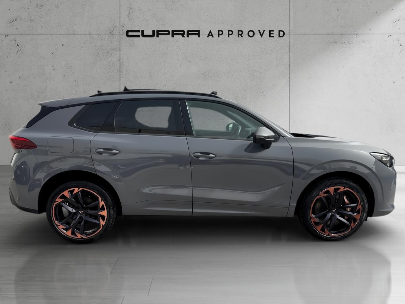 CUPRA Terramar 2.0 TSI VZ 4 Drive DSG 195 kW (265 CV) — photo 3