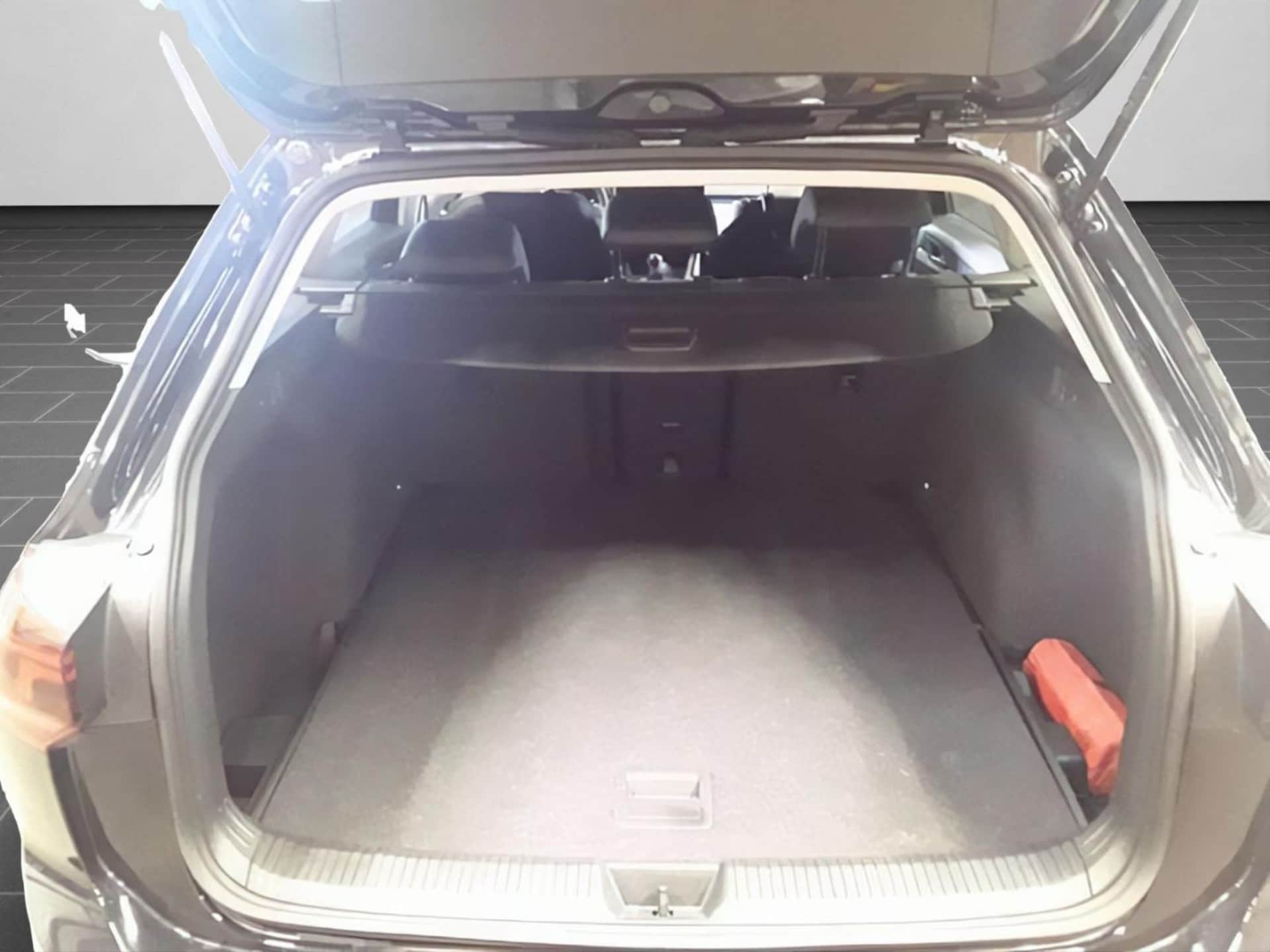 Volkswagen Golf Variant Goal