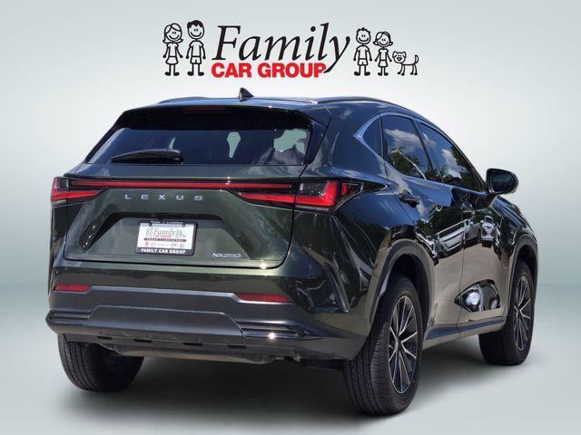 2024 Lexus NX 250