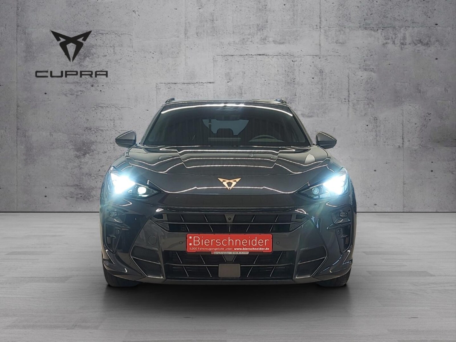 CUPRA Terramar – Bild 2