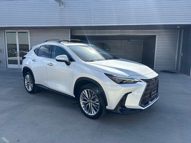 2025 Lexus NX 350