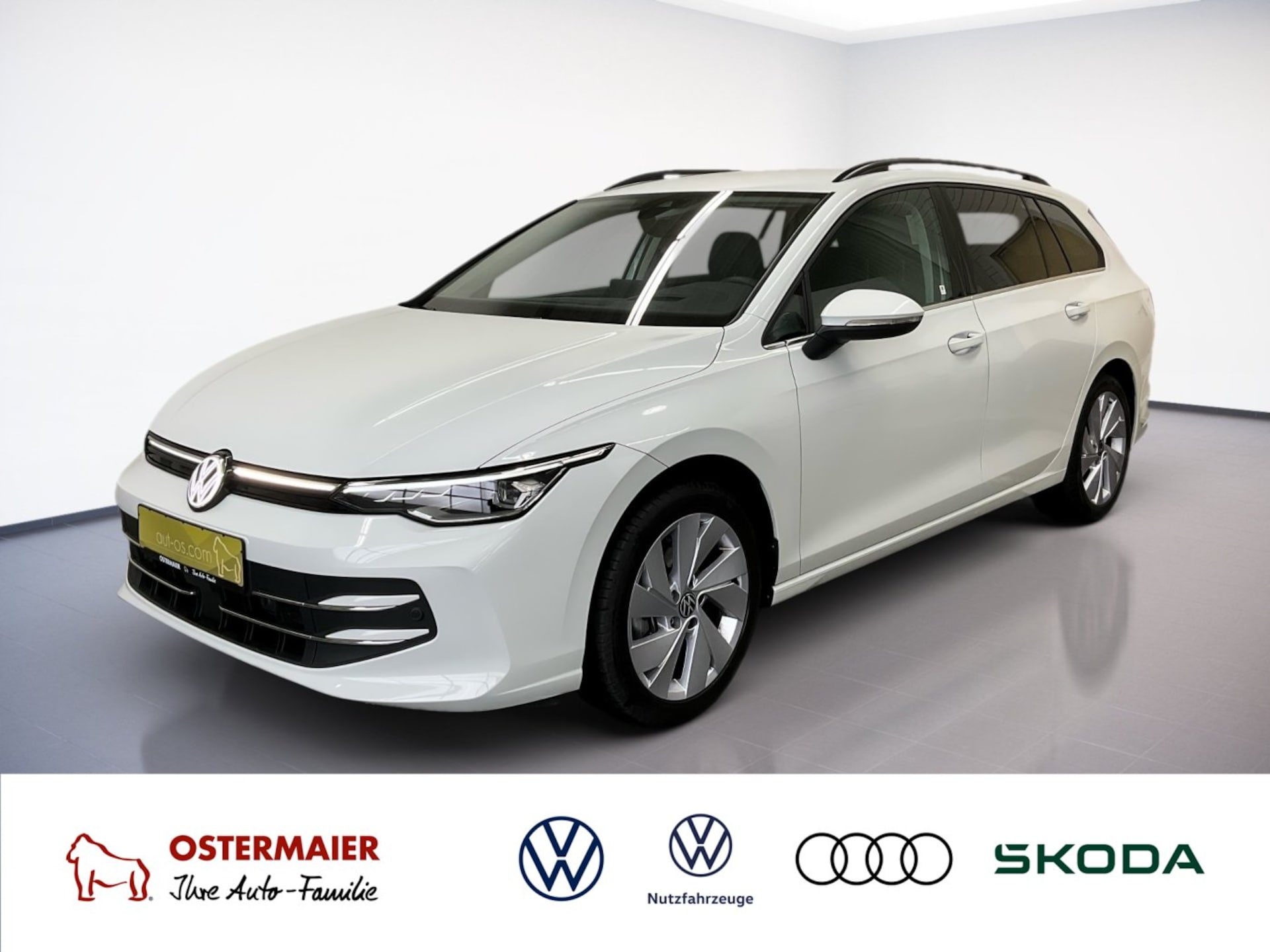Volkswagen Golf Variant Style