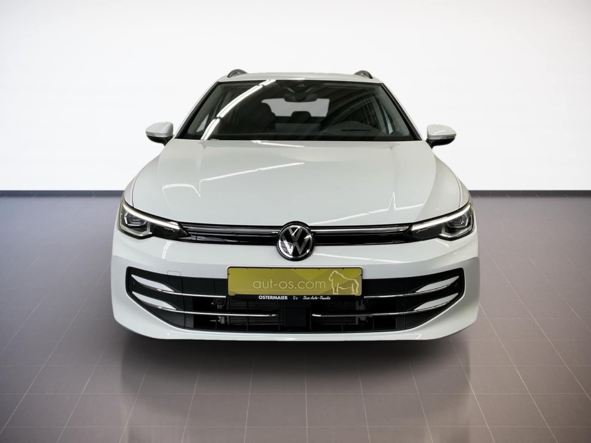Volkswagen Golf Variant Style