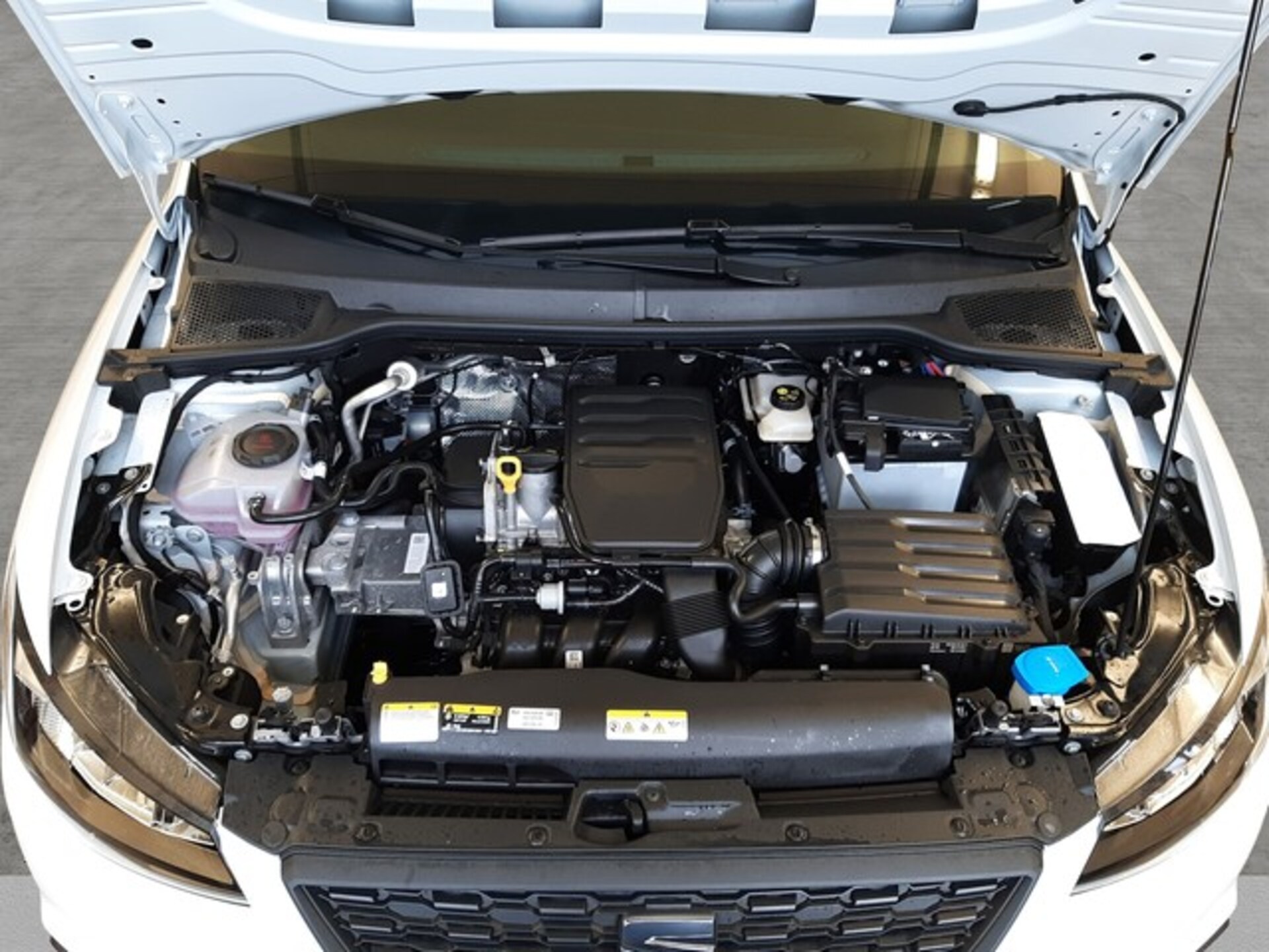 SEAT Ibiza Reference