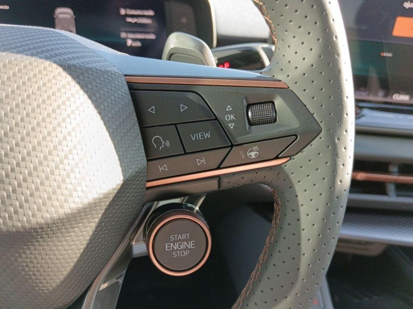 CUPRA Terramar 1.5 eTSI DSG 110 kW (150 CV) — photo 10