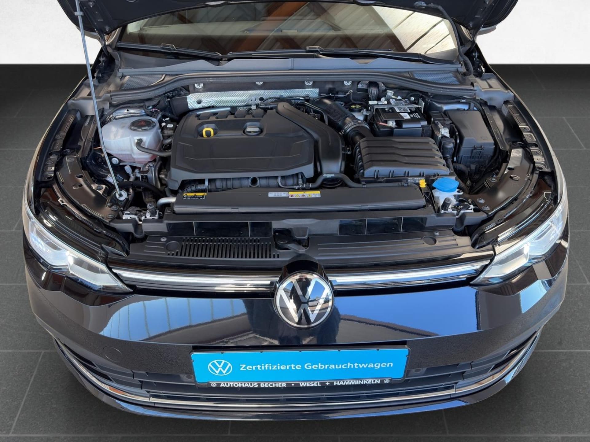 Volkswagen Golf Style