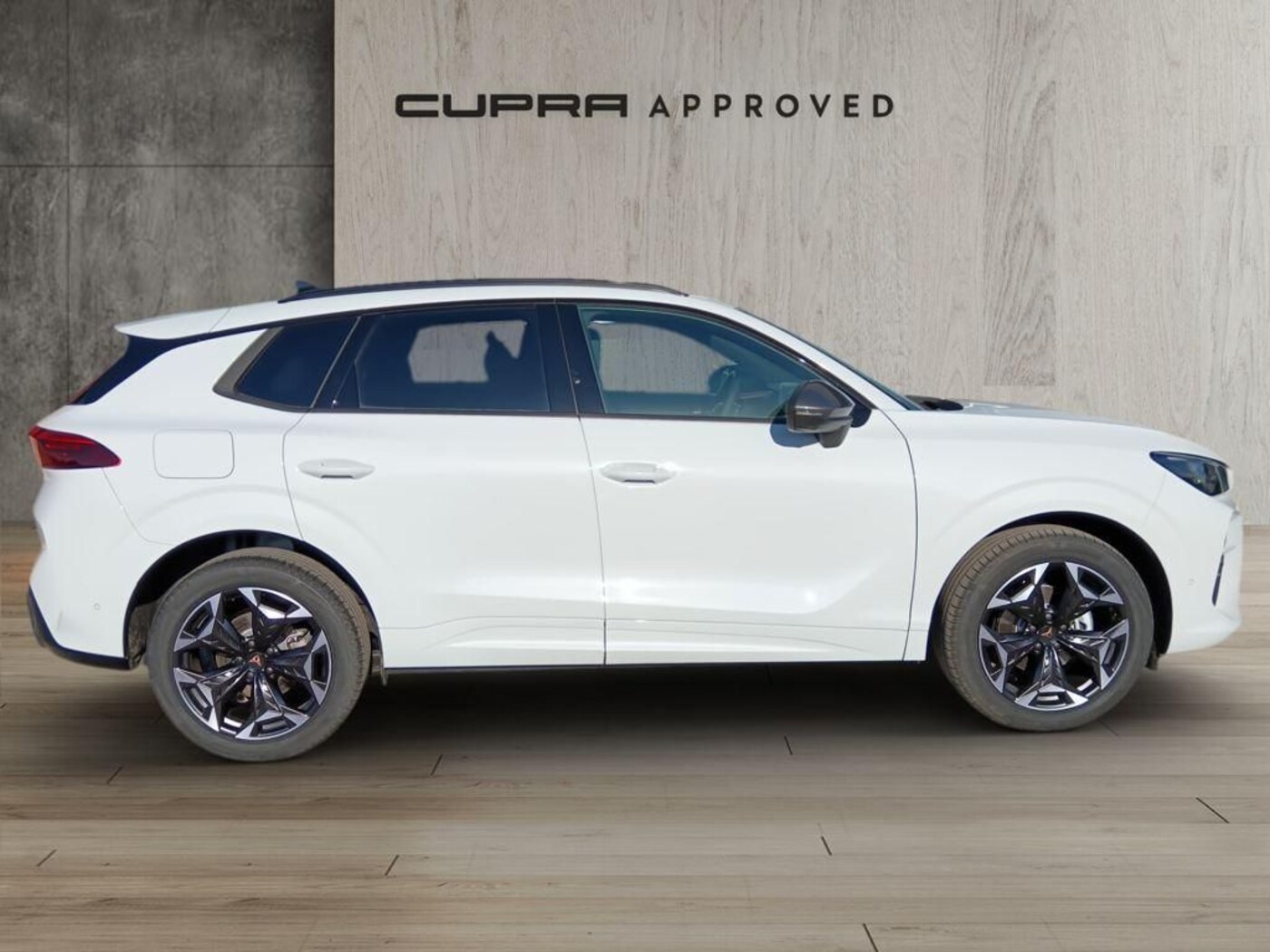 CUPRA Terramar 1.5 eTSI DSG 110 kW (150 CV) — photo 3
