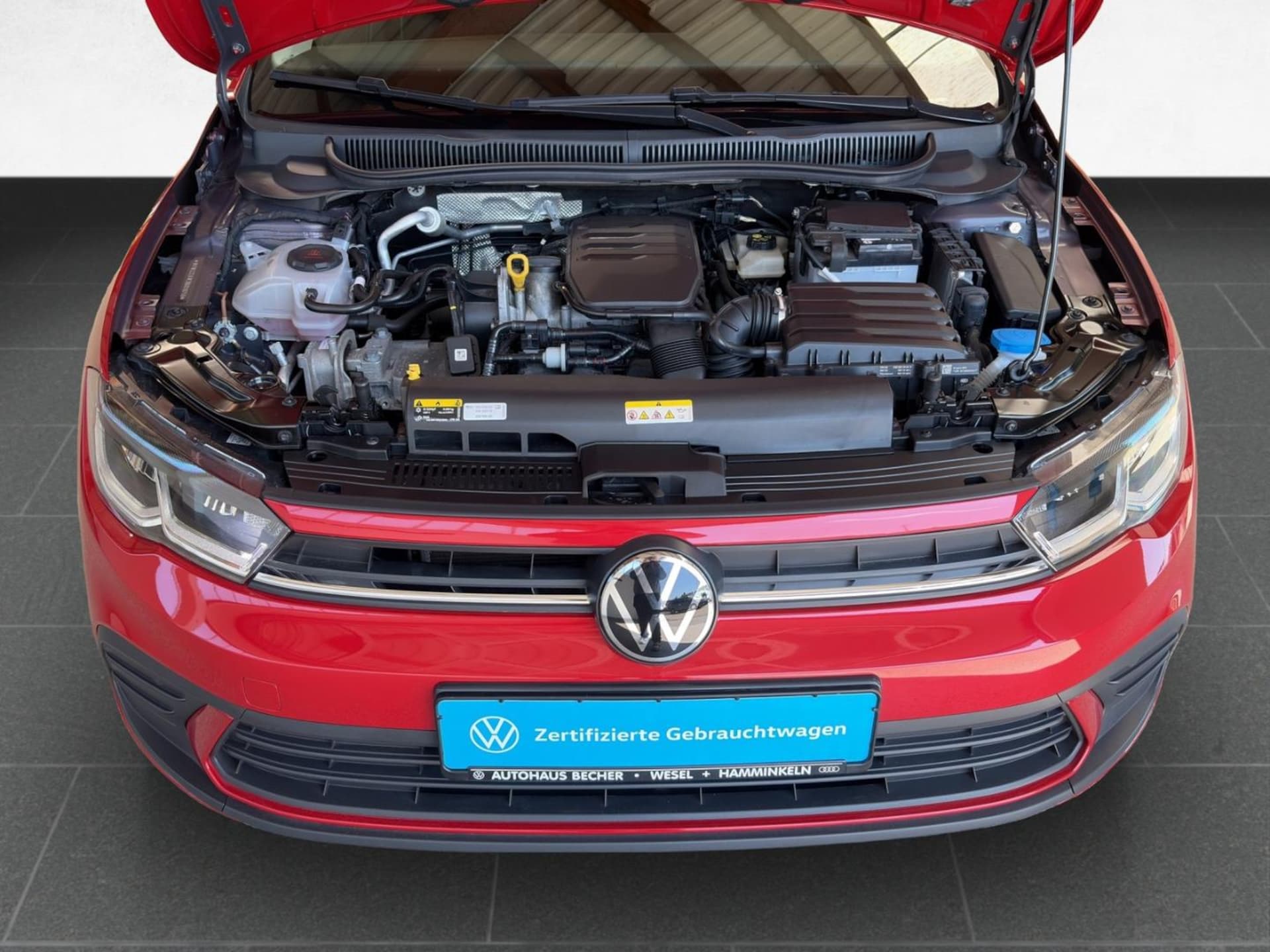 Volkswagen Polo FRESH