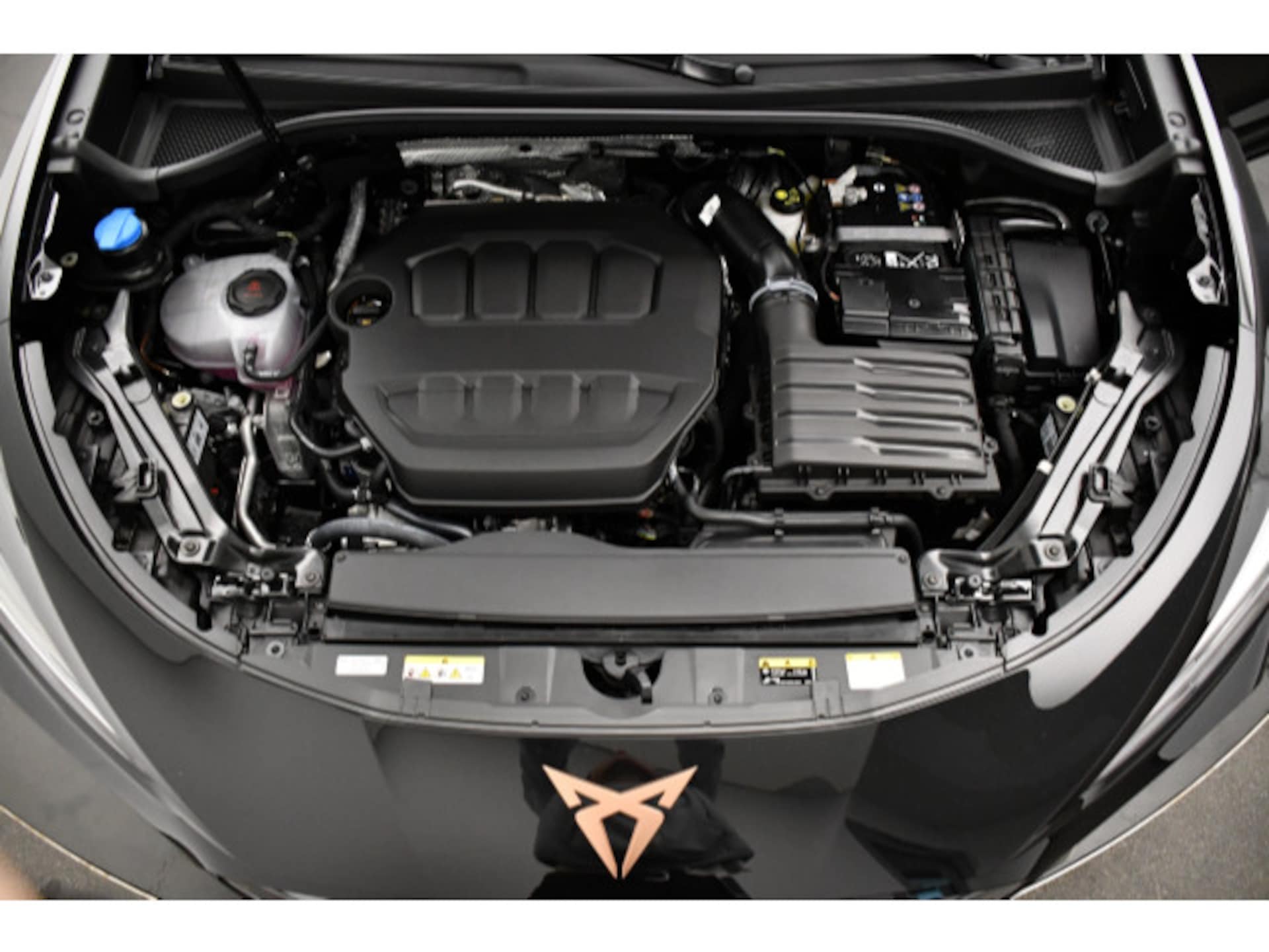 CUPRA Terramar VZ