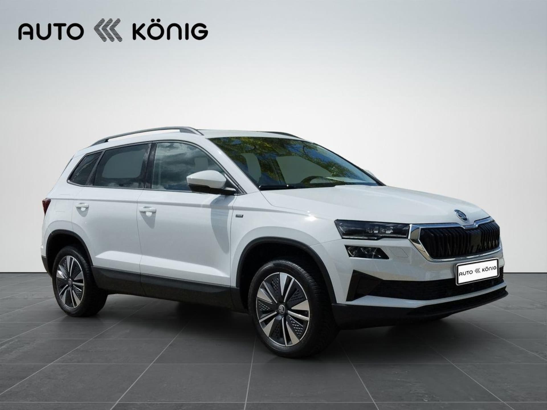 Skoda Karoq Tour