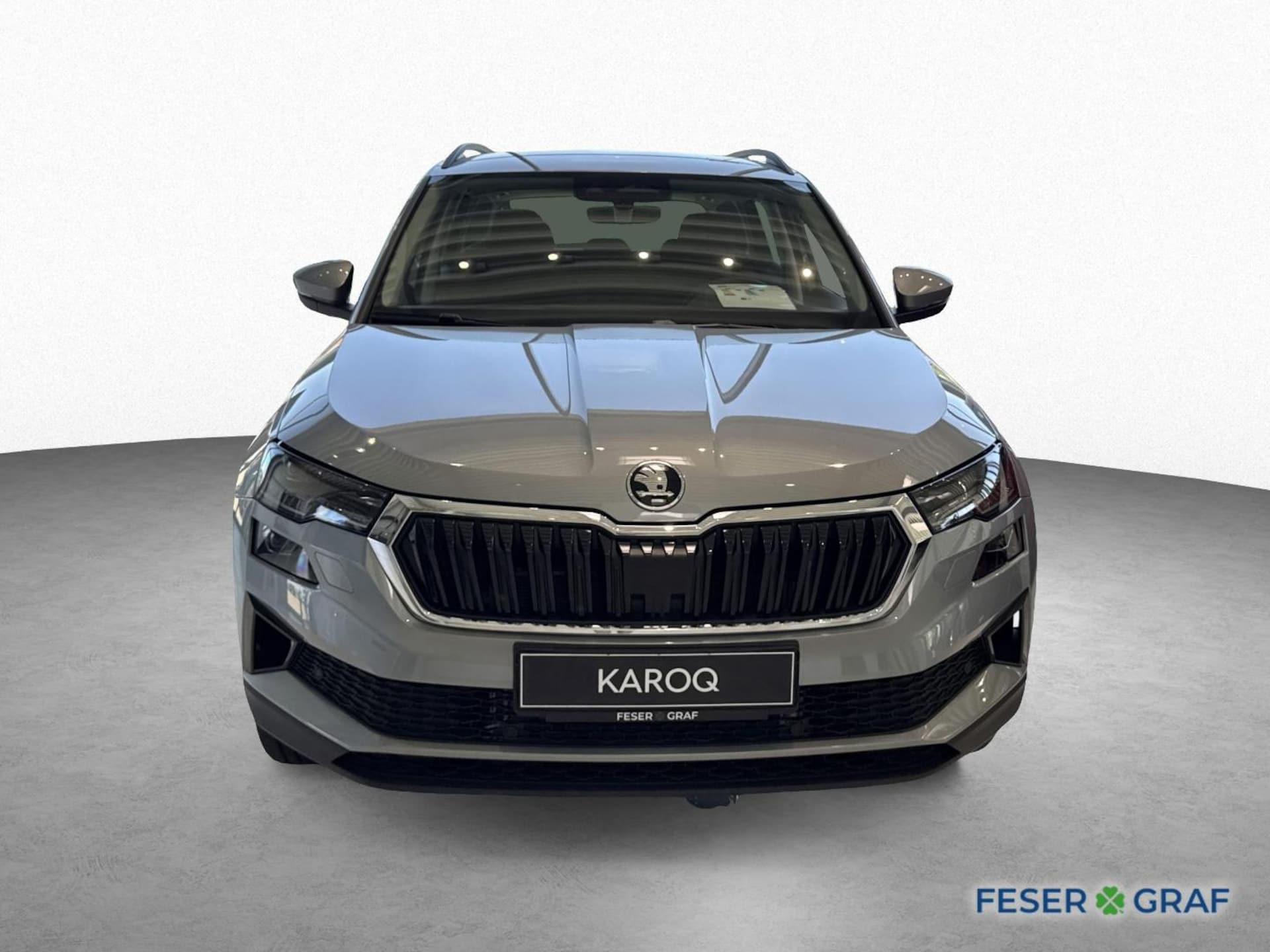 Skoda Karoq Selection