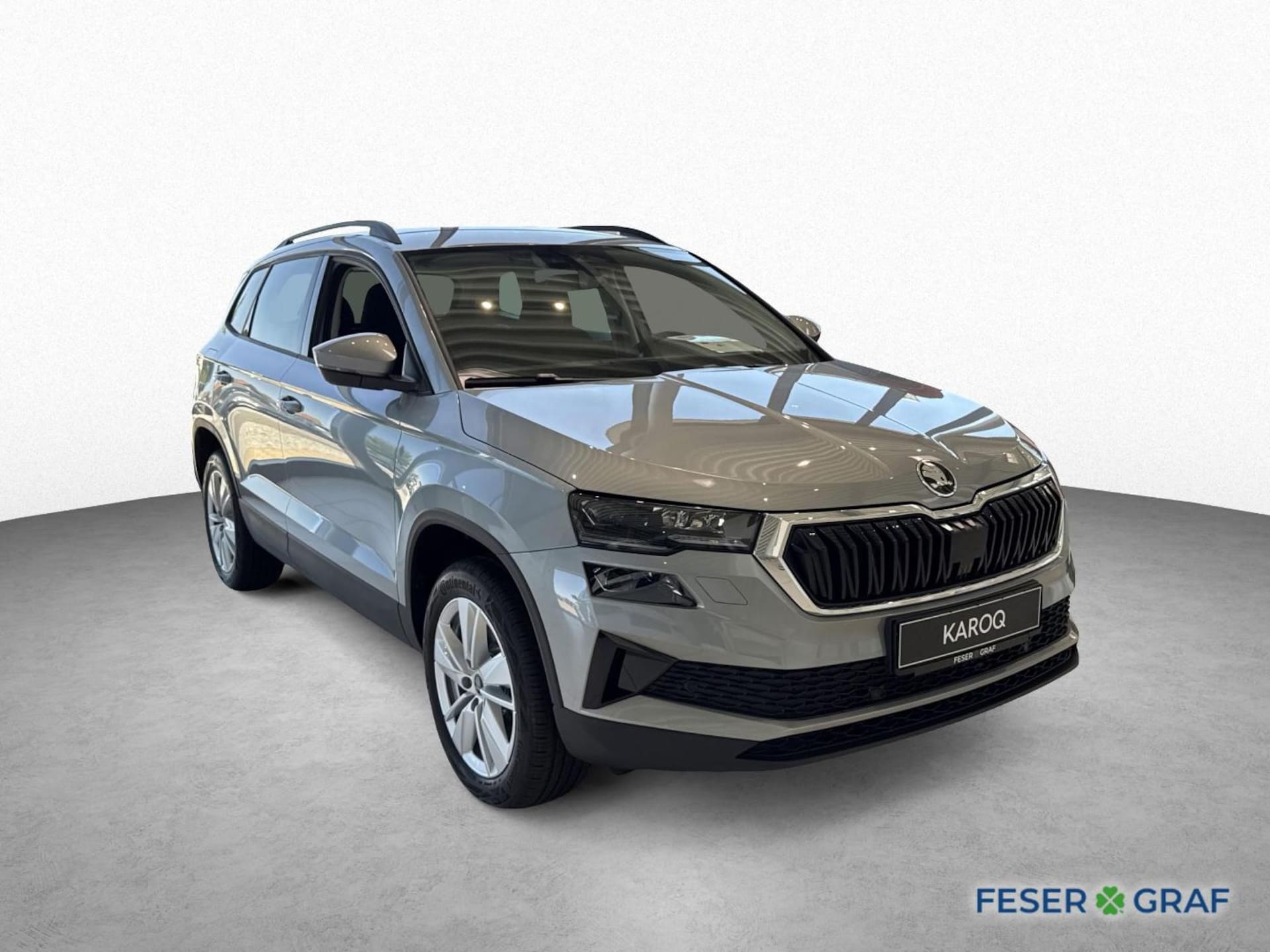 Skoda Karoq Selection