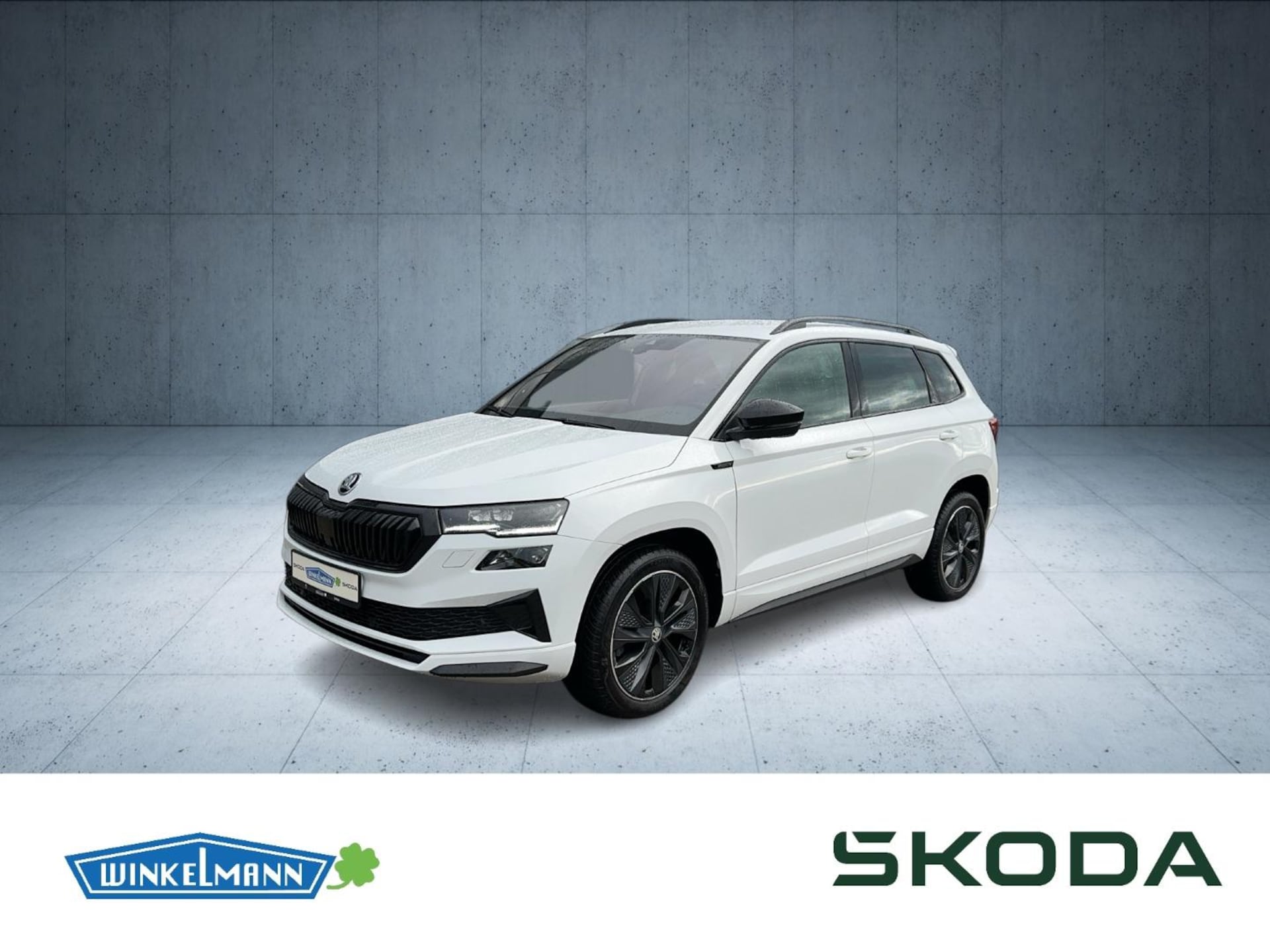 Skoda Karoq 2024