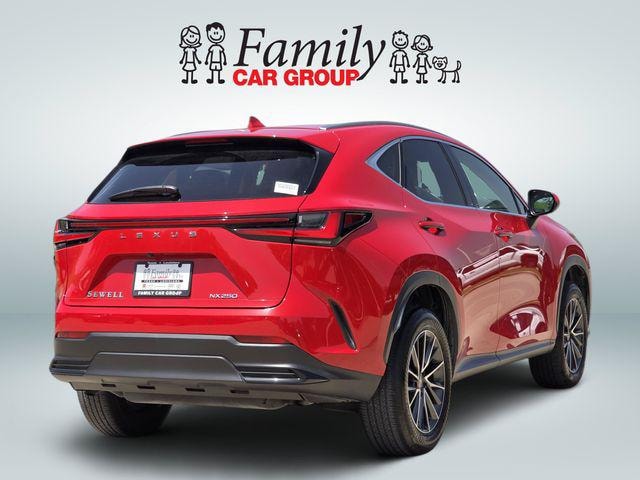 2024 Lexus NX 250