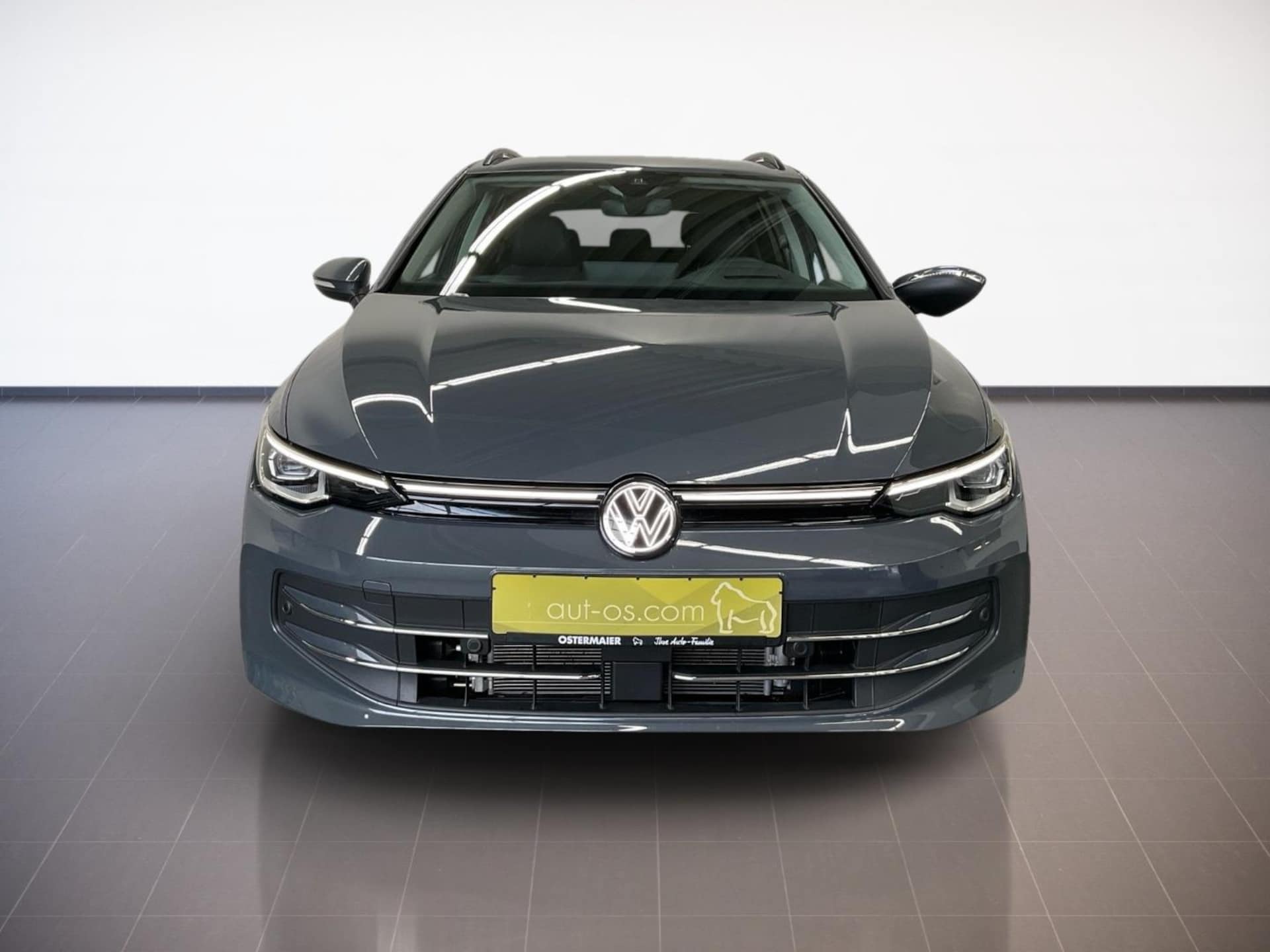 Volkswagen Golf Variant Style