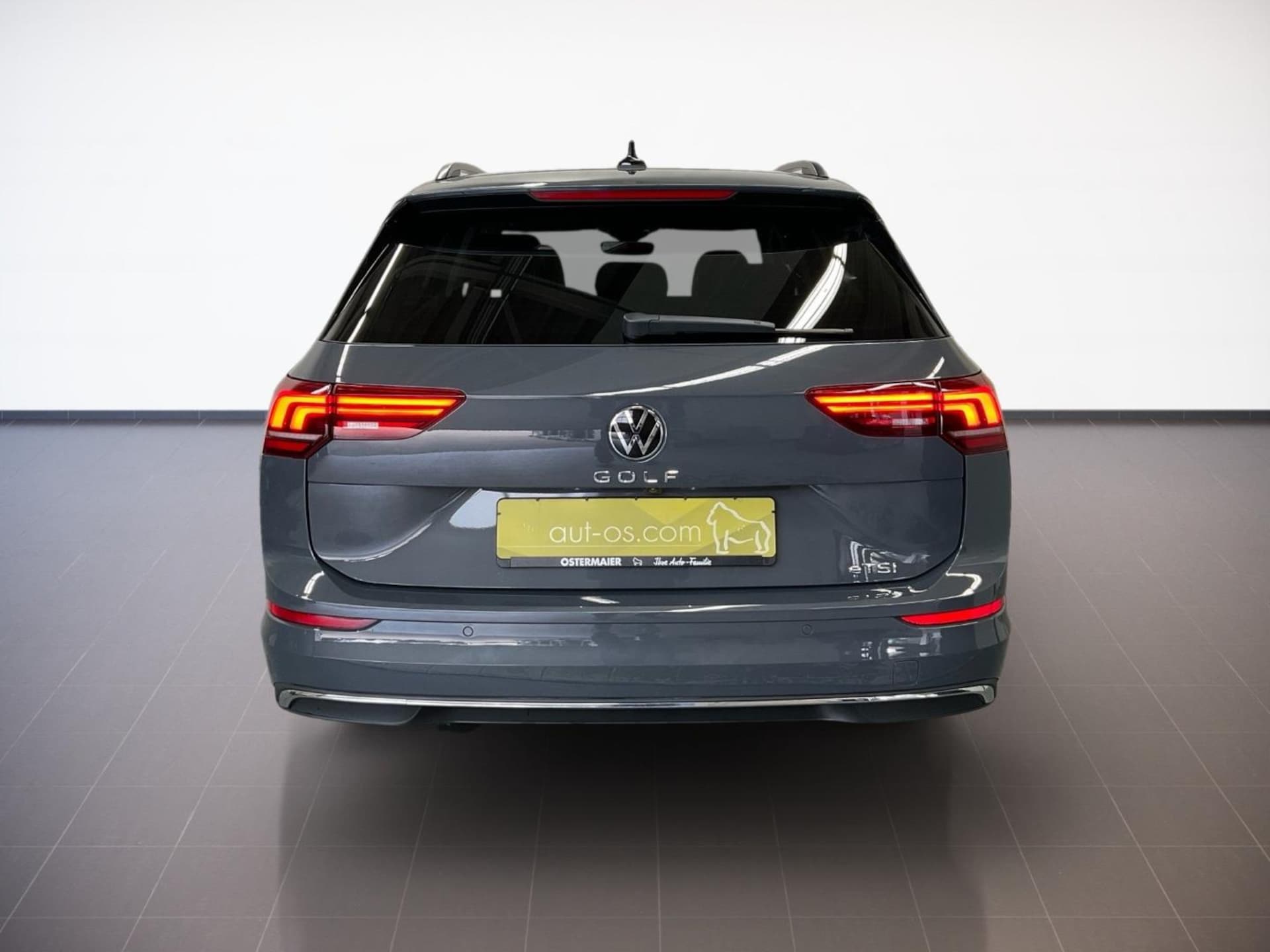 Volkswagen Golf Variant Style