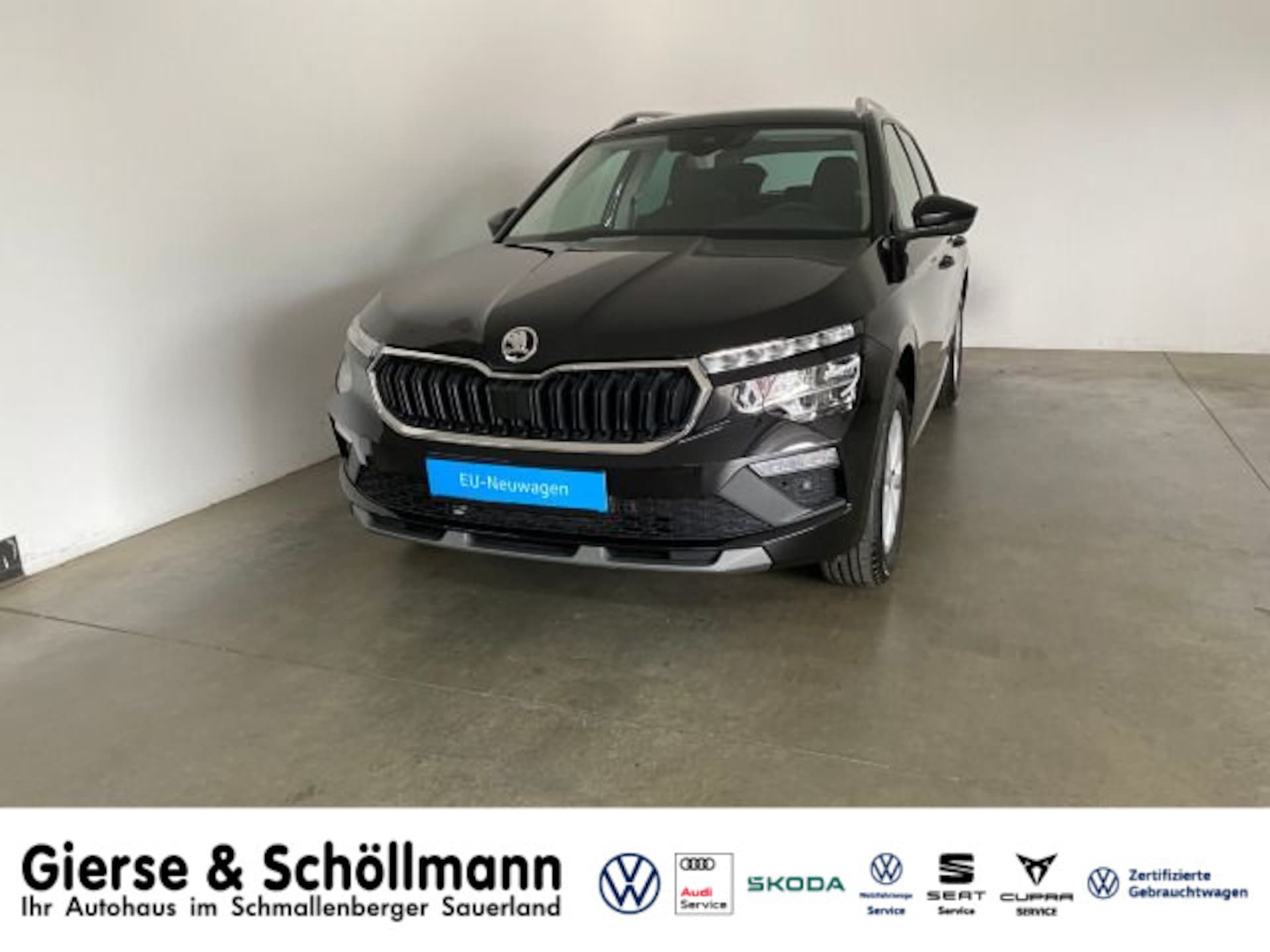 Skoda Kamiq Selection