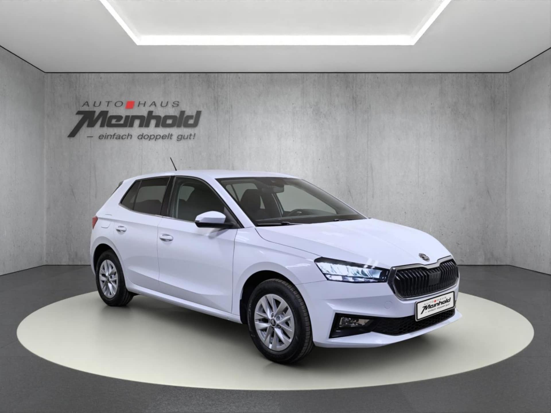 Skoda Fabia Top Selection