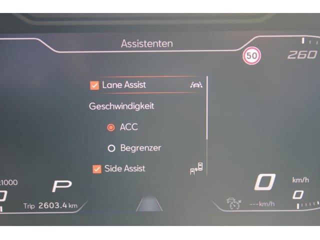 Bild des Autos 13