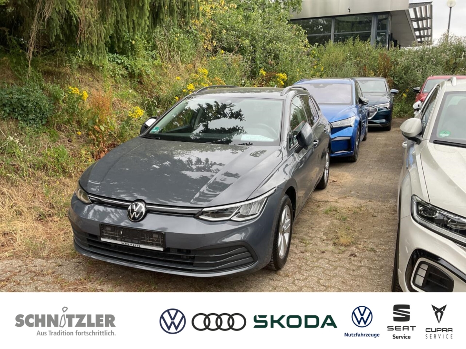 Volkswagen Golf Variant Life