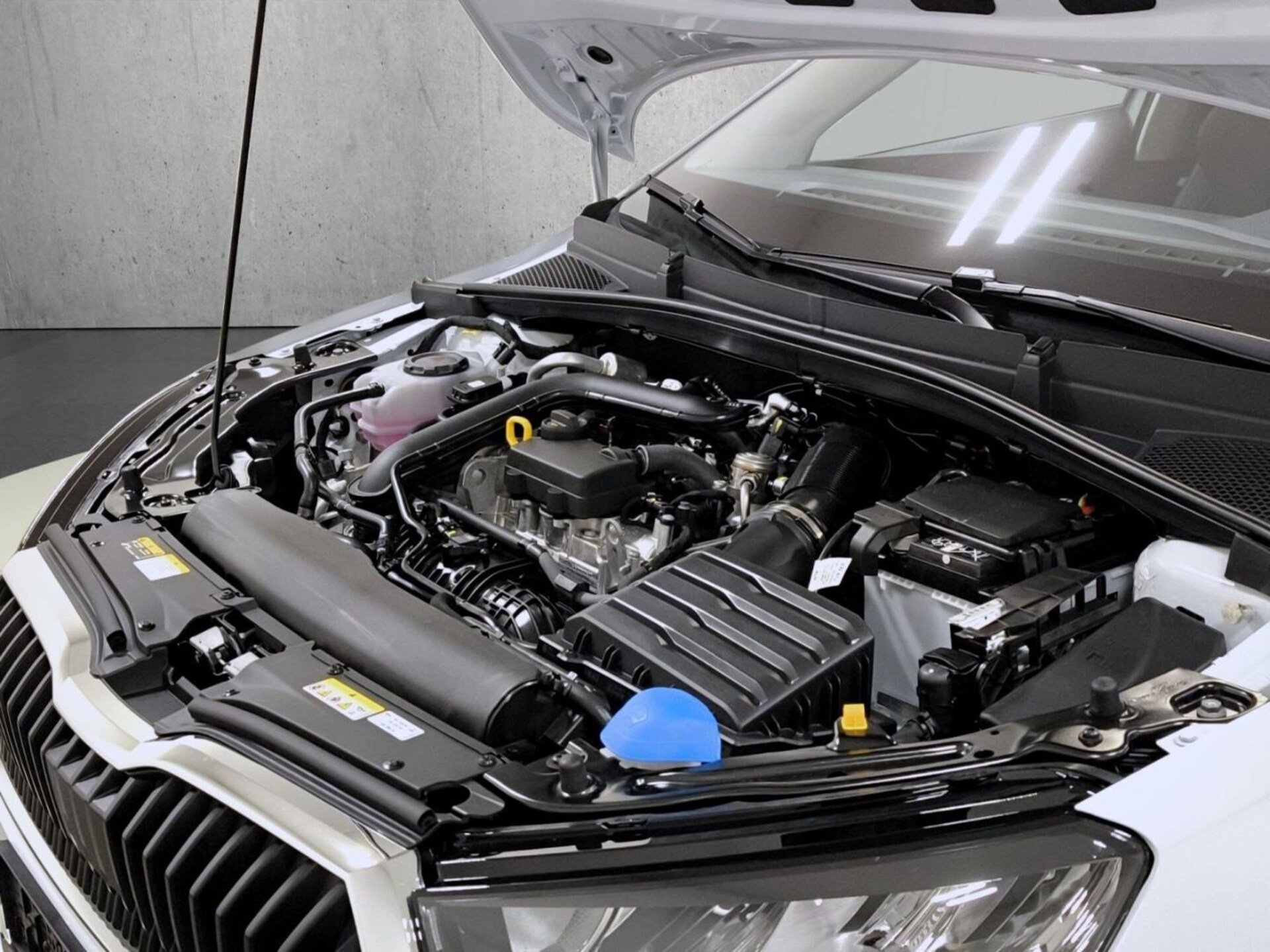 Skoda Fabia Top Selection