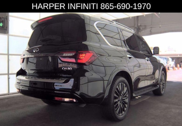 2024 Infiniti QX80