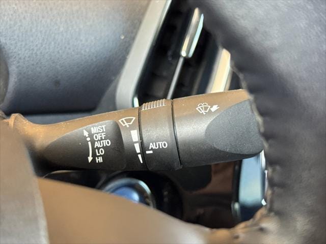 View 31