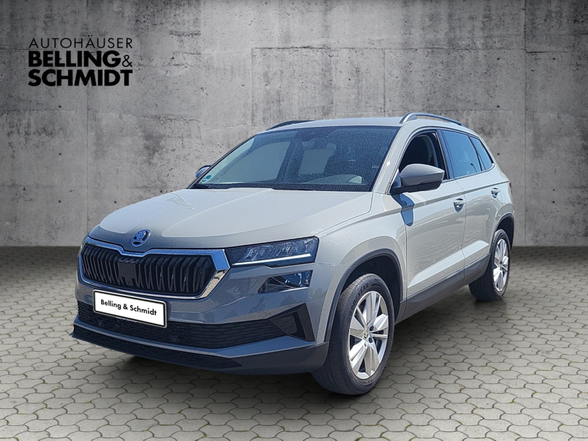 Skoda Karoq Selection